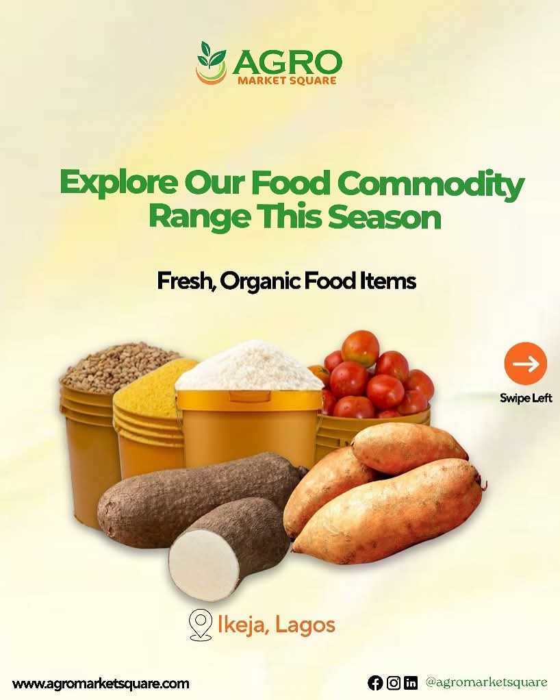 agromarketsquar's tweet image. Latest Food Commodity Prices in Lagos Are In! 🛒🌾

Check out our updated price list for top-quality agro commodities now available at the most competitive rates!

📥 Swipe through or download our full list.
💼 For bulk orders, partnerships, or delivery, contact us directly.