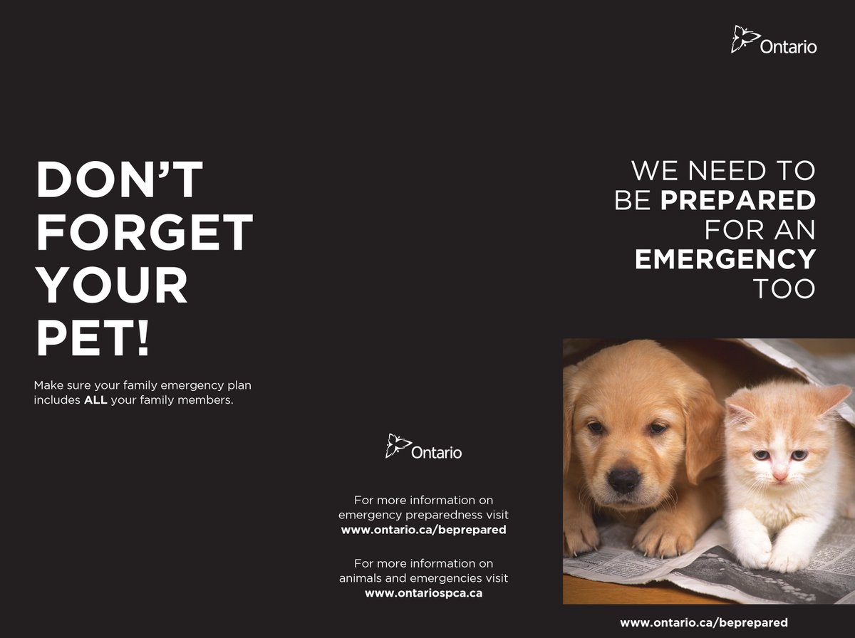 HamiltonFireDep's tweet image. June is Pet Preparedness Month - In case of an emergency, consider where your pet could stay such as with family or friends. Talk about it with other members of your household so that they know the plan.
For more info visit:
hamilton.ca/BeforeAnEmerge…
#EmergencyPreparedness