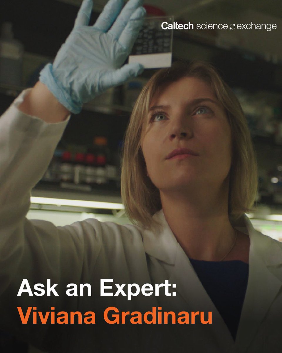Caltech's tweet image. What causes neurodegenerative diseases like Alzheimer’s or Parkinson’s? And how are researchers developing treatments to stop them?
Learn more from Caltech’s Viviana Gradinaru on the #CaltechScienceExchange.
scienceexchange.caltech.edu/topics/neurosc…