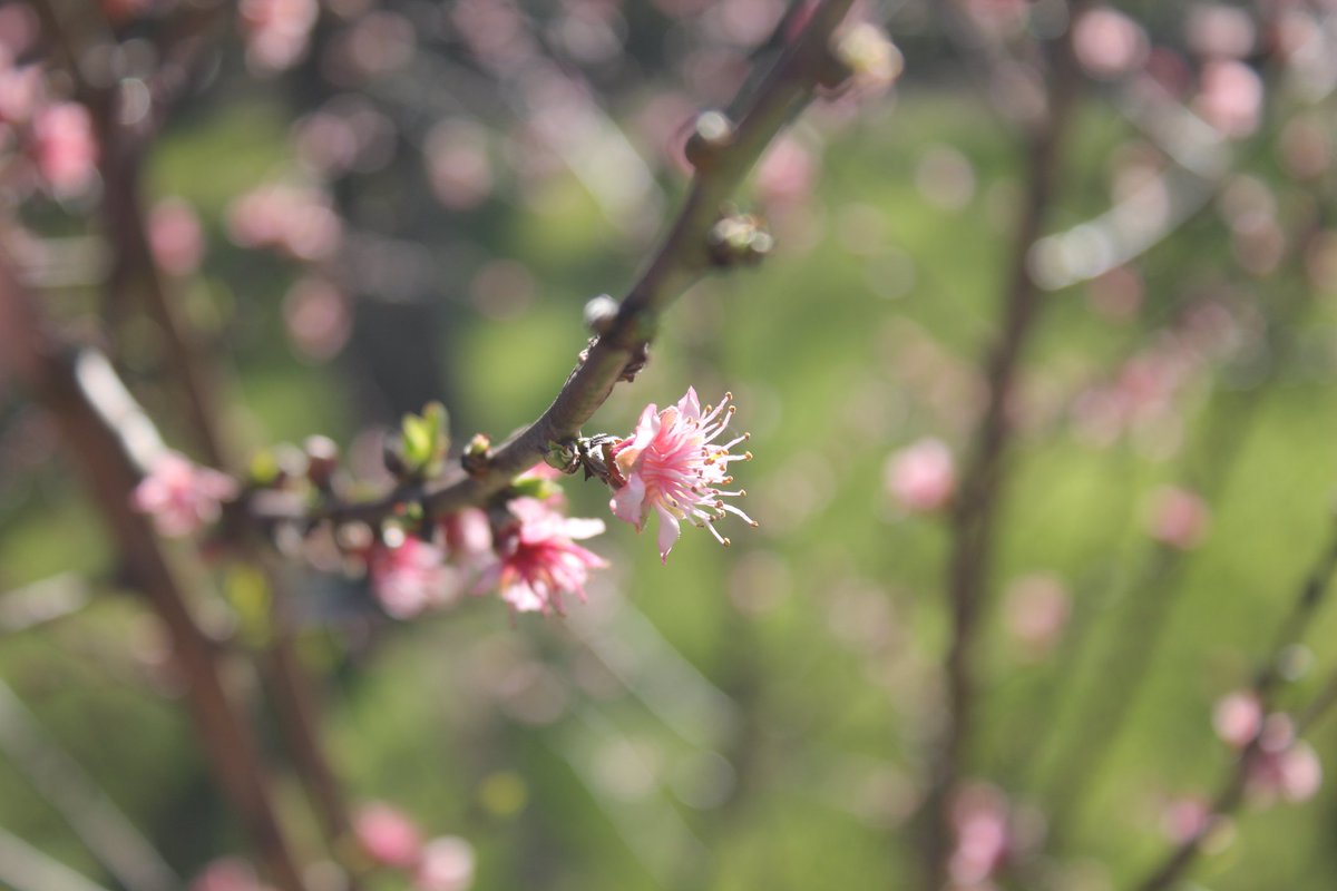 Letícia Renault (@leticia_renault) on Twitter photo 