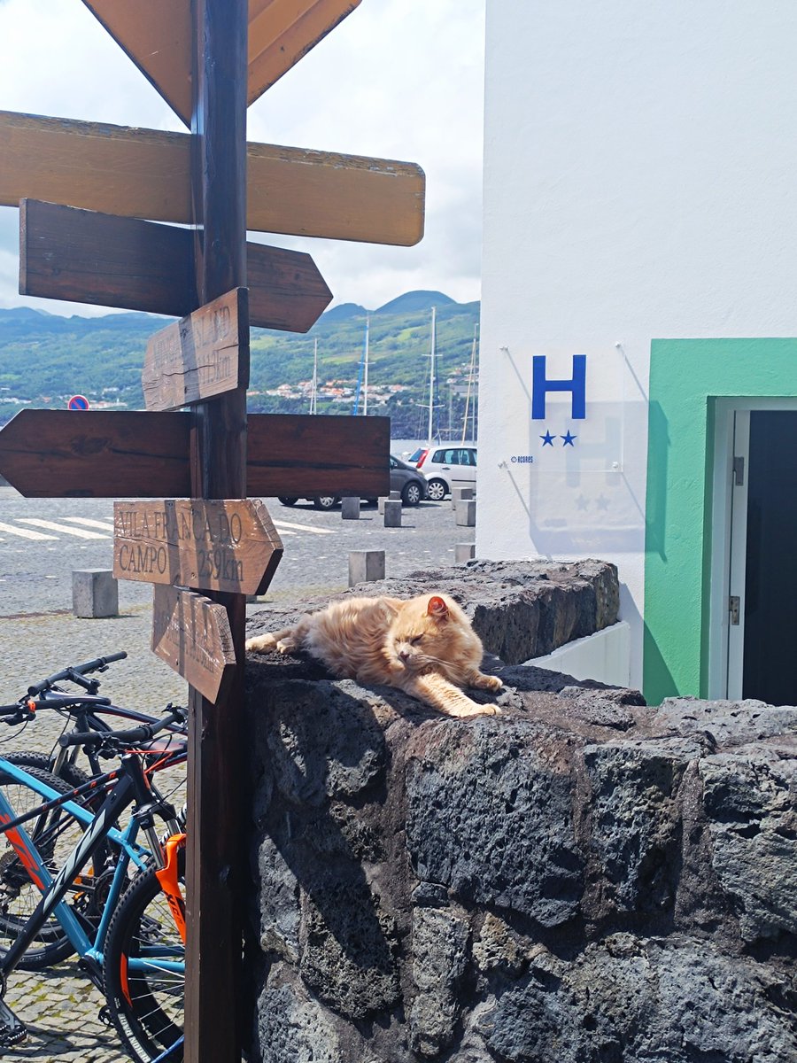 Хозяин острова