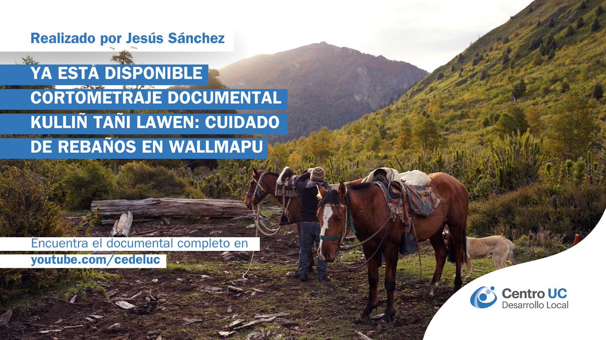 Ya puedes ver el cortometraje documental "Kulliñ Tañi Lawen: Cuidado de Rebaños en Wallmapu"

Disponible en bit.ly/4js0rPo