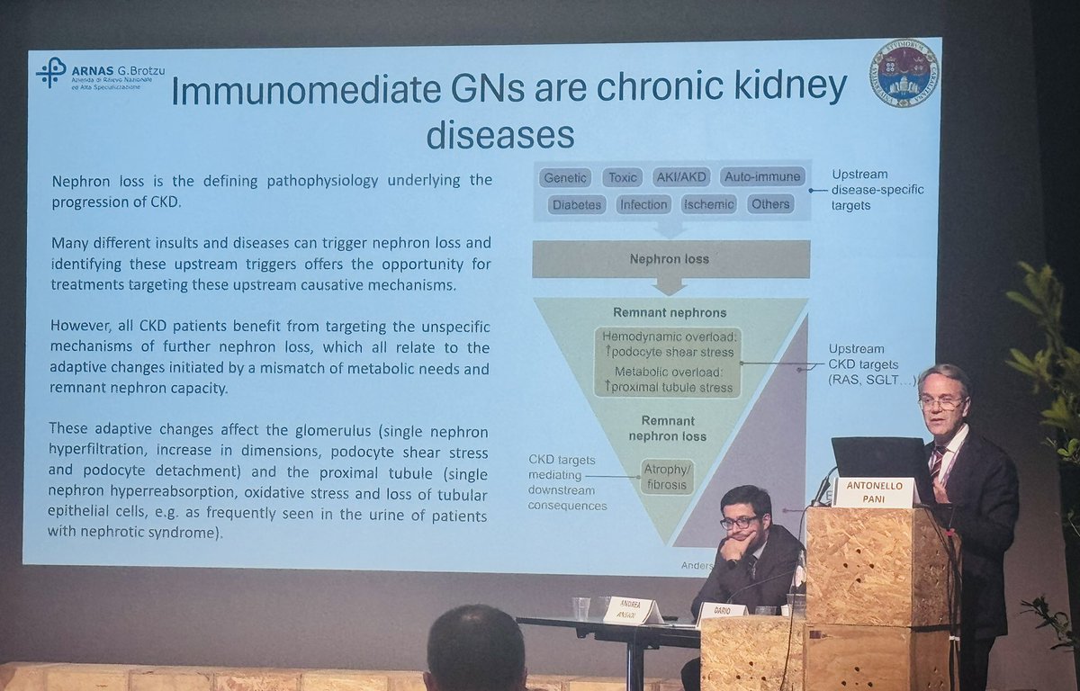 Mayo Clinic Nephrology (@mayoclinicneph) on Twitter photo Prof. Antonello Pani (Cagliari, Italy) delivered a forward-looking presentation:
“The New Era of CKD Treatment in Immune-Mediated GNs”
Highlighting the evolving therapeutic landscape
🌍 The 7th International Renal Meeting with Mayo Clinic in Sardinia 🇮🇹
<a href="/andreaangioi/">Andrea Angioi, MD, FASN</a> Prof. Antonello Pani (Cagliari, Italy) delivered a forward-looking presentation:
“The New Era of CKD Treatment in Immune-Mediated GNs”
Highlighting the evolving therapeutic landscape
🌍 The 7th International Renal Meeting with Mayo Clinic in Sardinia 🇮🇹
<a href="/andreaangioi/">Andrea Angioi, MD, FASN</a>