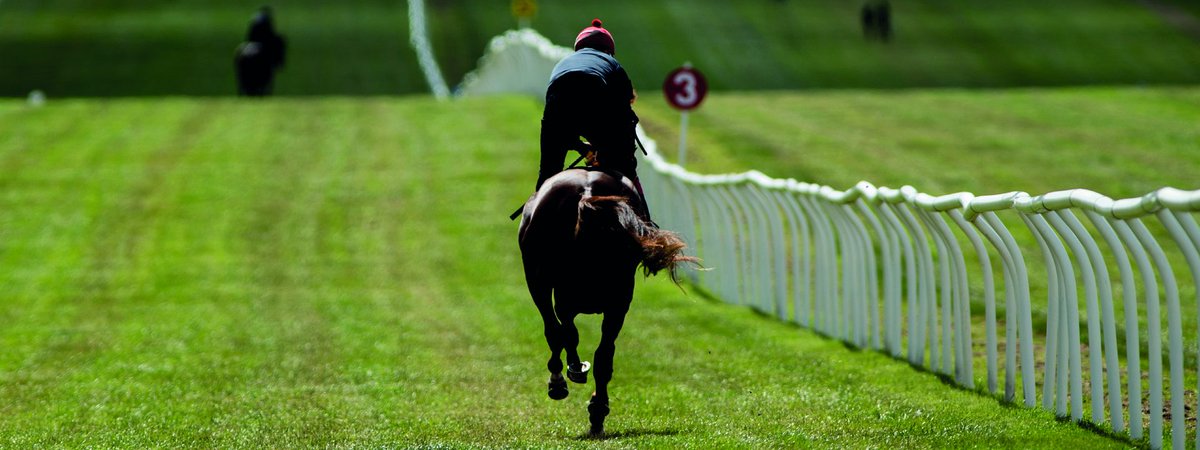 equineline.com (@equineline) on Twitter photo The 2025 Tattersalls Online June Sale is now available on the <a href="/equineline/">equineline.com</a> Sales Catalog App <a href="/tatts_online/">Tattersalls Online</a> bit.ly/1sfG8Gq
If you don’t have the Sales Catalog App, download it for free: apple.co/3FS5I4M The 2025 Tattersalls Online June Sale is now available on the <a href="/equineline/">equineline.com</a> Sales Catalog App <a href="/tatts_online/">Tattersalls Online</a> bit.ly/1sfG8Gq
If you don’t have the Sales Catalog App, download it for free: apple.co/3FS5I4M