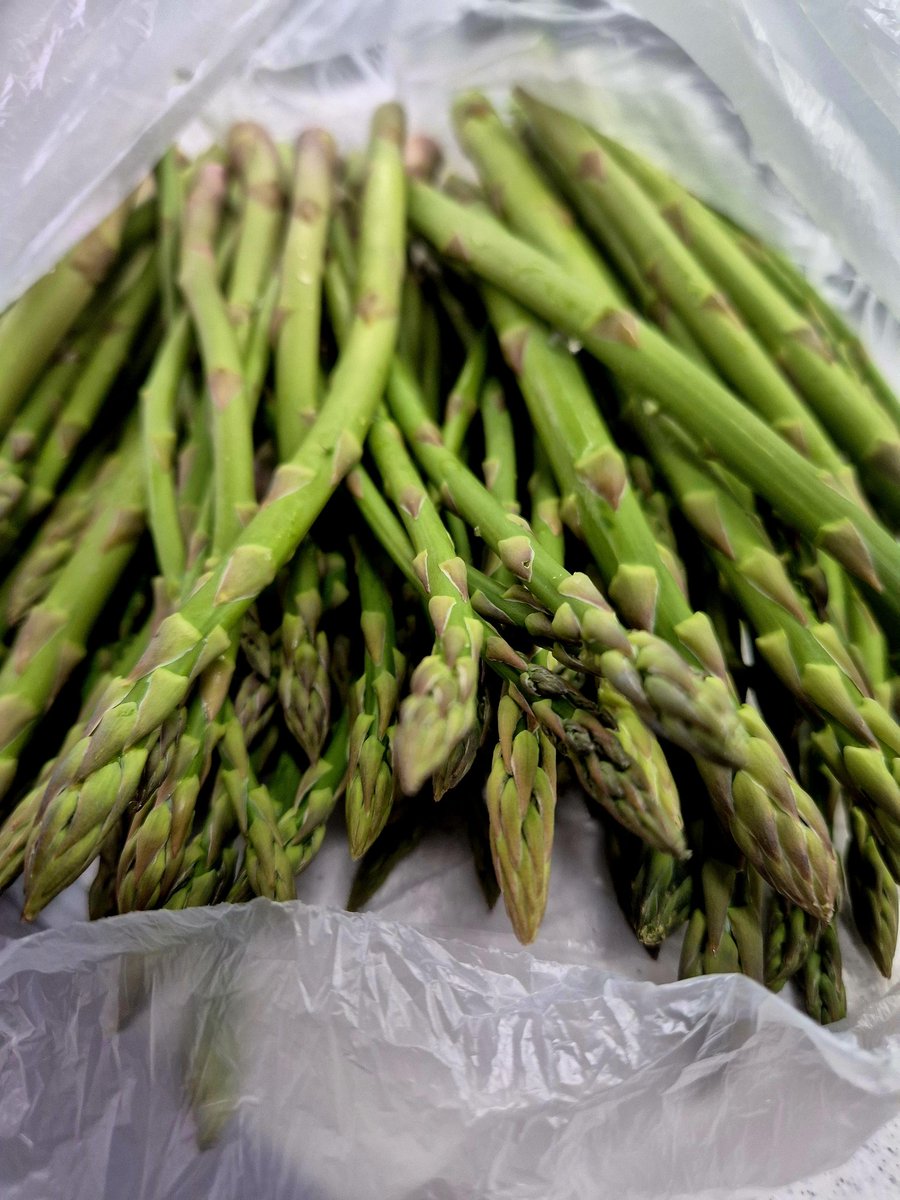 Vasil Karev (@vkarev) on Twitter photo 