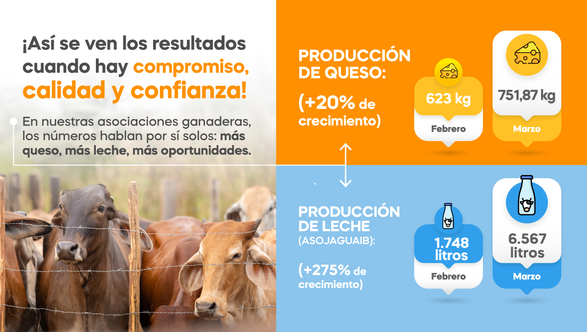 🚜🐄 ¡Así se ven los resultados cuando hay compromiso, calidad y confianza!
En nuestras asociaciones ganaderas, los números hablan por sí solos: más queso, más leche, más oportunidades.
💪🏼✨
Gracias a nuestros productores por dedicación.🌱🤝

#Prodeco #SeguimosCumpliendo