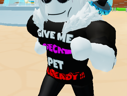 i think is safe to say that the only reason that i got 2 secrets in less then a day (1 shiny secret) is bc of my shirt i made 😎😂