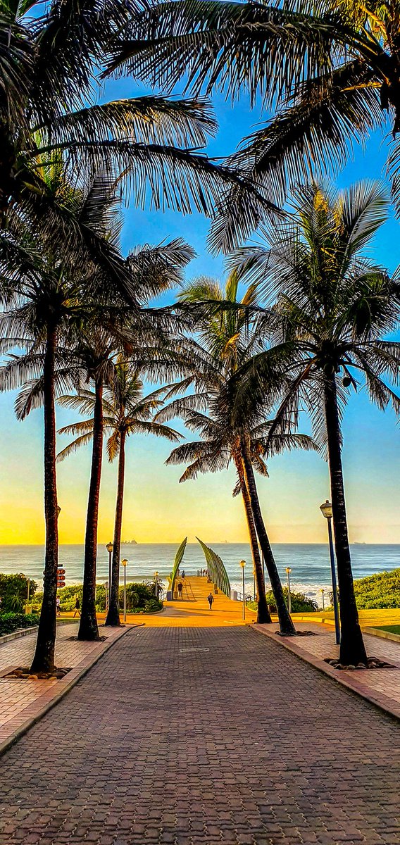 TheBeautyofAfri's tweet image. Beautiful City of Durban, South Africa 🇿🇦

Hojlund Chido Obi Benjamin Sesko Chelsea Biafra Arteta #Ozoemena Arsenal Amen Gyokeres Delap Curves Baddy Nuno WAEC Trent Binance Alpha Uncle K Nigerian #VapingWorks