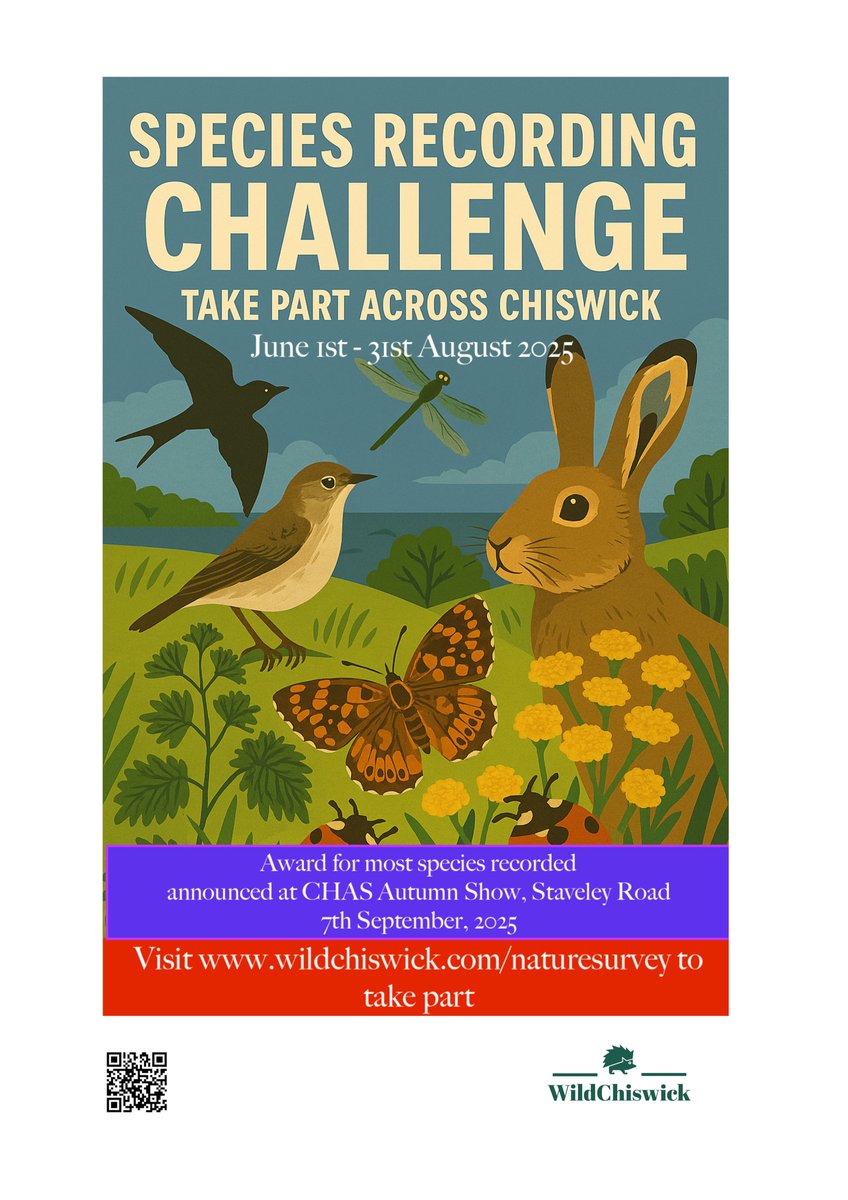 Species Recording Challenge across Chiswick runs 1st June - 31st Aug. Anyone can enter. Prize given for most viable recordings. All go into the GiGl database to help ecologists &amp; councils make biodiversity decisions.
wildchiswick.com/naturesurvey for details and to record sightings.