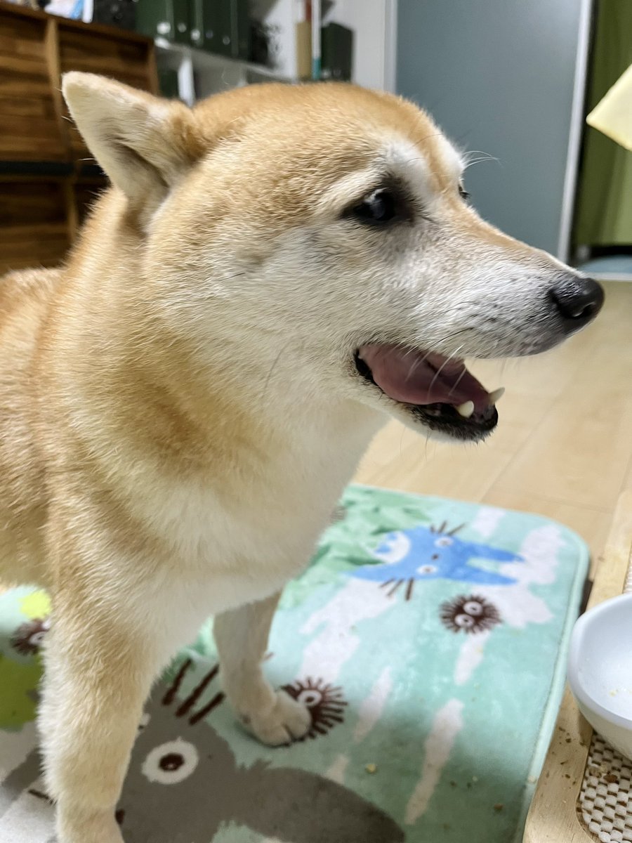 月末、金曜、打ち上げおやつ そうか、よかった、おいしかったか 6月も