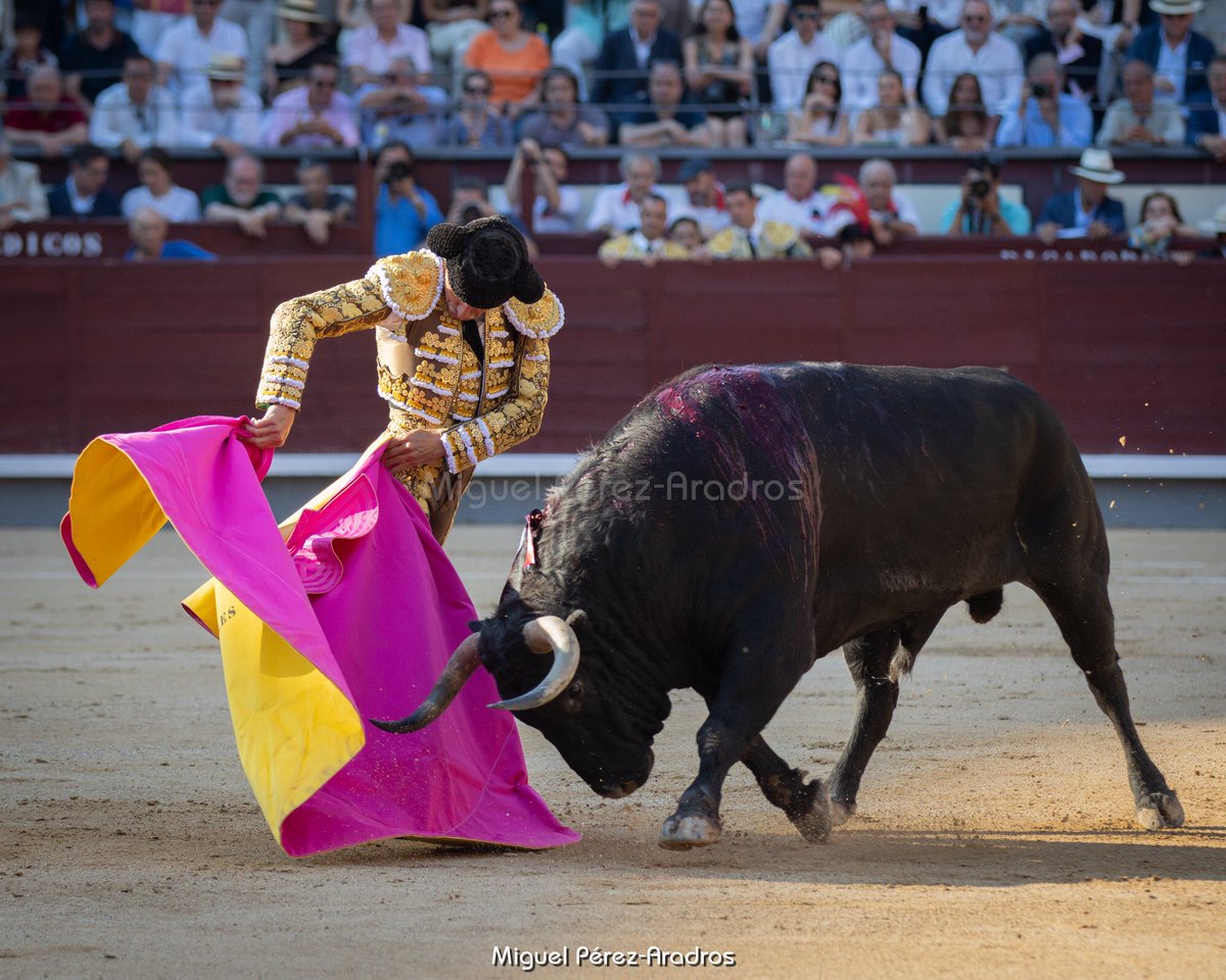 Detalles de la tarde de Diego Urdiales en <a href="/LasVentas/">Plaza de Las Ventas</a> 
📷 <a href="/miguelmipereza/">Miguel Pérez-Aradros</a>