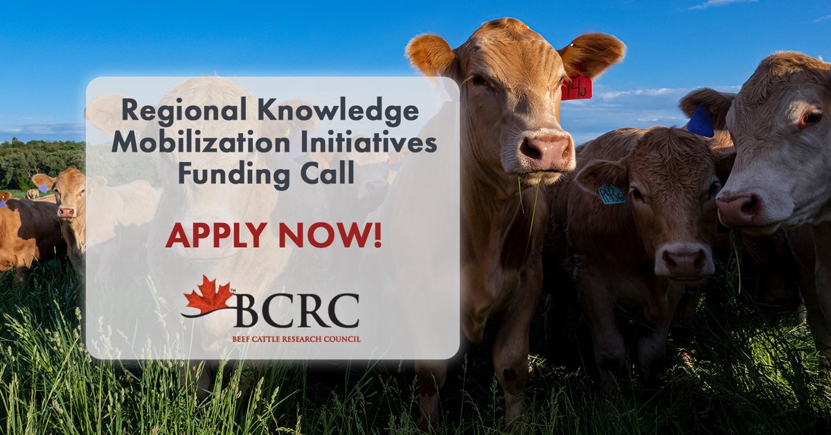 Apply now for the BCRC's 2025 Regional Knowledge Mobilization Initiatives Funding Program that supports regional events and activities for Canadian beef producers. Initiatives must align with the Canadian Beef Research &amp; Technology Transfer Strategy.
⬇️
beefresearch.ca/blog/2025-regi…