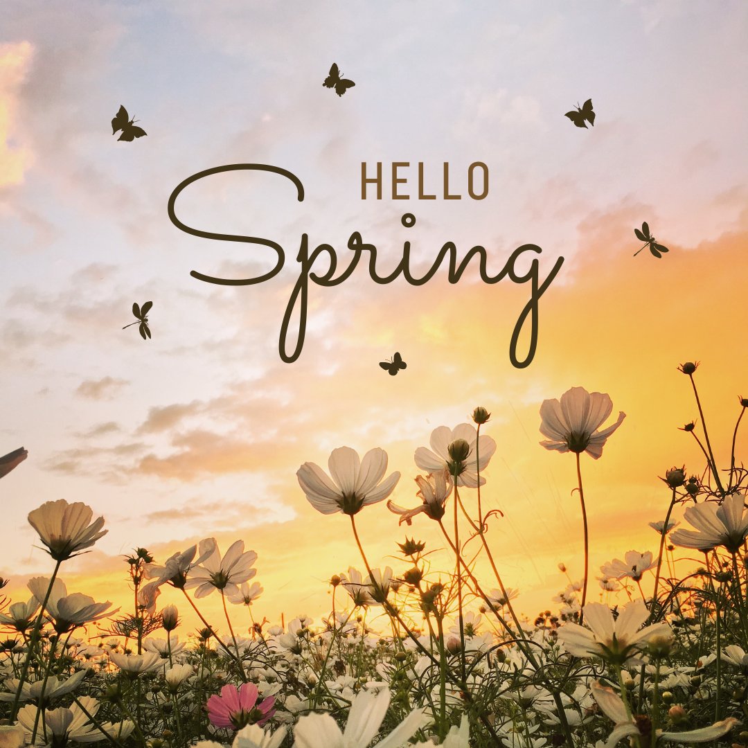 executivebake's tweet image. Stay in style at Executive Baker LA. Comfort and class in Louisiana.
Call Now:  +1 (636) 629-8080
Visit US: executivebakerla.blogspot.com/2025/05/execut…
#ExecutiveBakerLA #LouisianaStay #ExecutiveComfort #TravelSouth #HotelLuxury