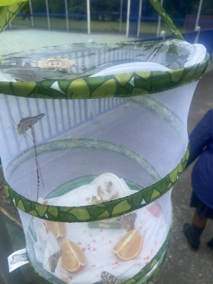 St Ninian's Pr! tweet media