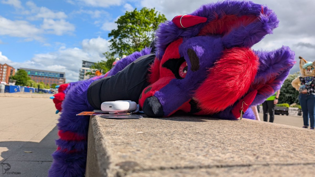 We are here with <a href="/Ashthehellhxund/">Ash (also on 🦋)</a> to remind you to keep hydrated in this warmer weather! 

📷: <a href="/itsPequod/">Pequod</a>
Join in on the fun ➡️: lincolnfurs.co.uk 

#LincsFurs #Furry #Furmeet #FurryFandom #FursuitFriday