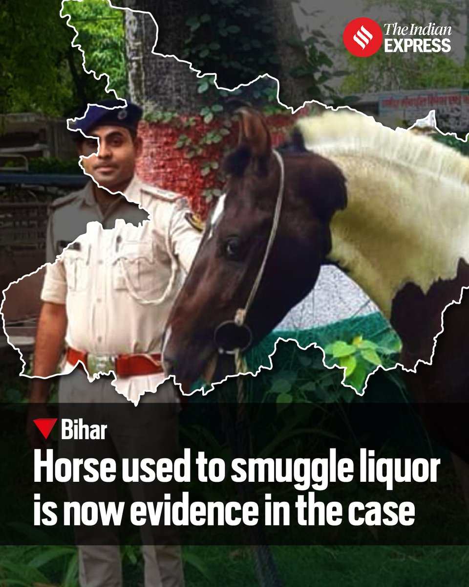 In a bizarre twist straight out of a crime drama, a horse in Bihar has been taken into custody for allegedly smuggling liquor into the dry state. 

indianexpress.com/article/india/…