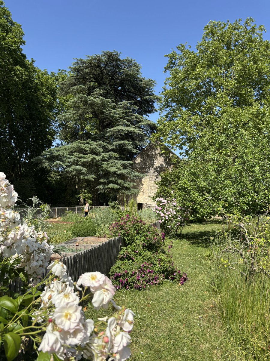 Un des plus jolis lieux de Touraine, le Prieuré Saint-Cosme à côté de Tours, Ronsard y vécut et y est enterré. Les vitraux de Zao Wou-Ki et les roses en cette saison 😍