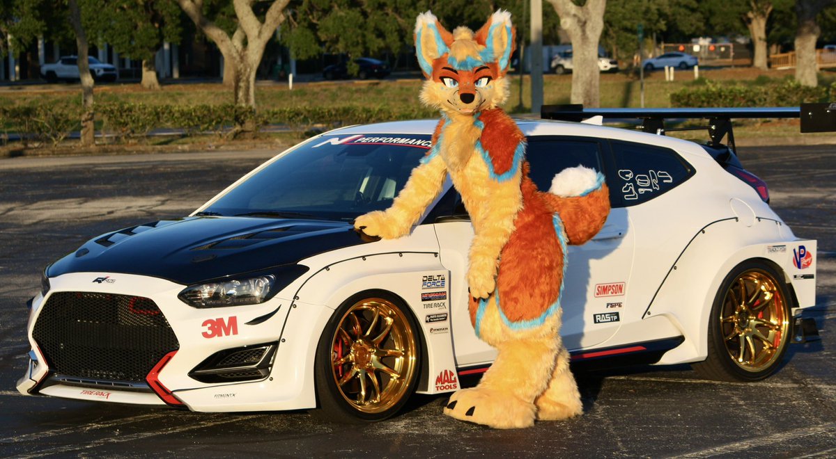 Fox Car Posting😳