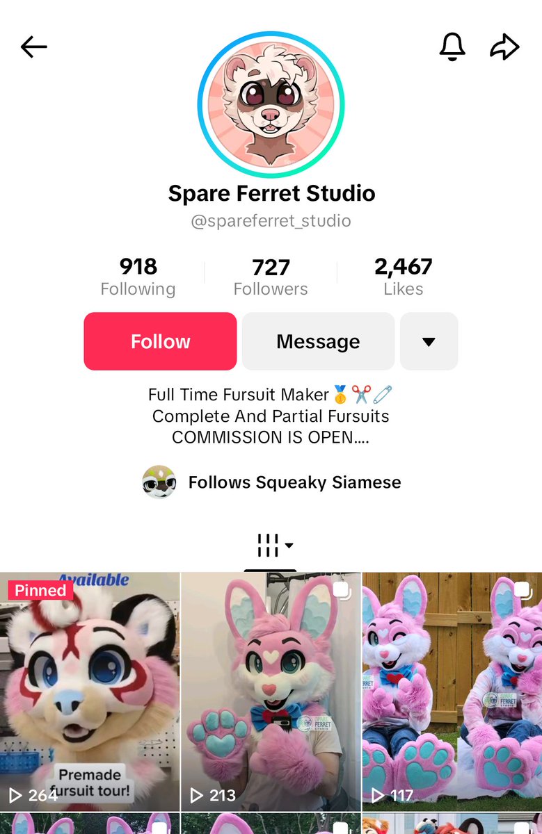 Spareferret Studio tweet media