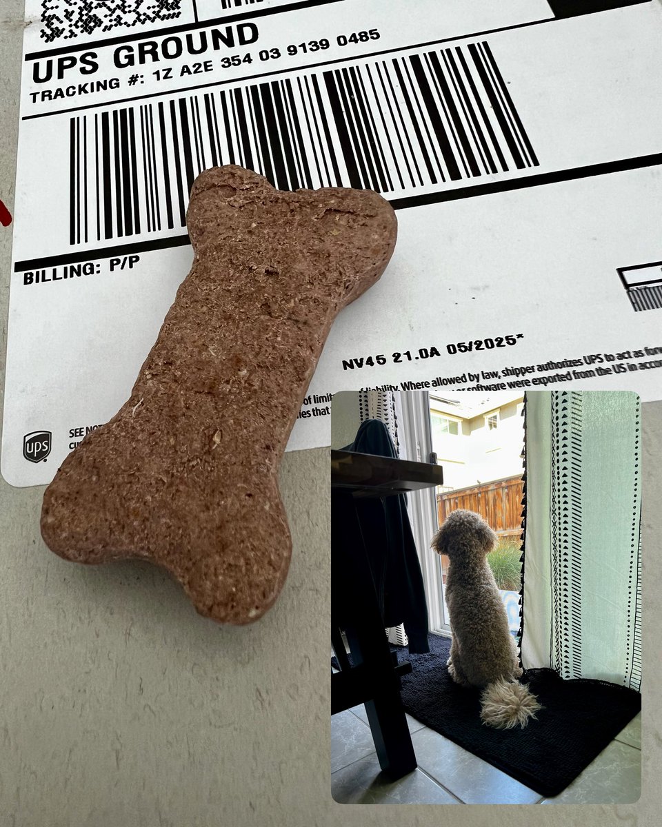 Okay <a href="/UPS/">UPS</a> I see you 👀. Who knew delivery service could be so extra. But I’m here for it. 🙏🏻 Thank you for the treat for my 🐶.