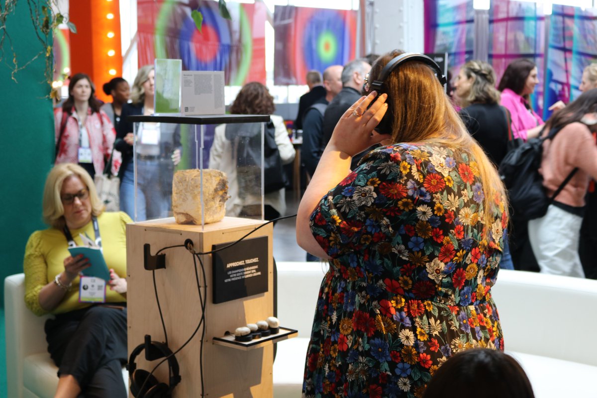 _BAnQ's tweet image. 🚀 Le Labo X @c2montreal : un espace chaleureux et innovant. Le public était invité à rêver, créer et expérimenter autour d'un mobilier de carton, d'une oeuvre collective et de champignons qui chantent! Une expérience hors du commun. ❤️