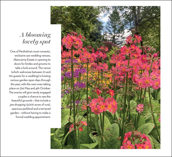 Abercairny (@abercairny) on Twitter photo Great write up in the Jun-Jul <a href="/tietheknotscot/">Tie the Knot Scotland</a> !!!
Come and see us at our Summer Garden Opening + Art Exhibition:
Sat 31 May & Sun 1 June 2025 2-5 pm
Tea and cakes served in Stables Café
ÂŁ5 adults (cash or card) + kids go free with proceeds to Guthrie Heritage SCIO Great write up in the Jun-Jul <a href="/tietheknotscot/">Tie the Knot Scotland</a> !!!
Come and see us at our Summer Garden Opening + Art Exhibition:
Sat 31 May & Sun 1 June 2025 2-5 pm
Tea and cakes served in Stables Café
ÂŁ5 adults (cash or card) + kids go free with proceeds to Guthrie Heritage SCIO