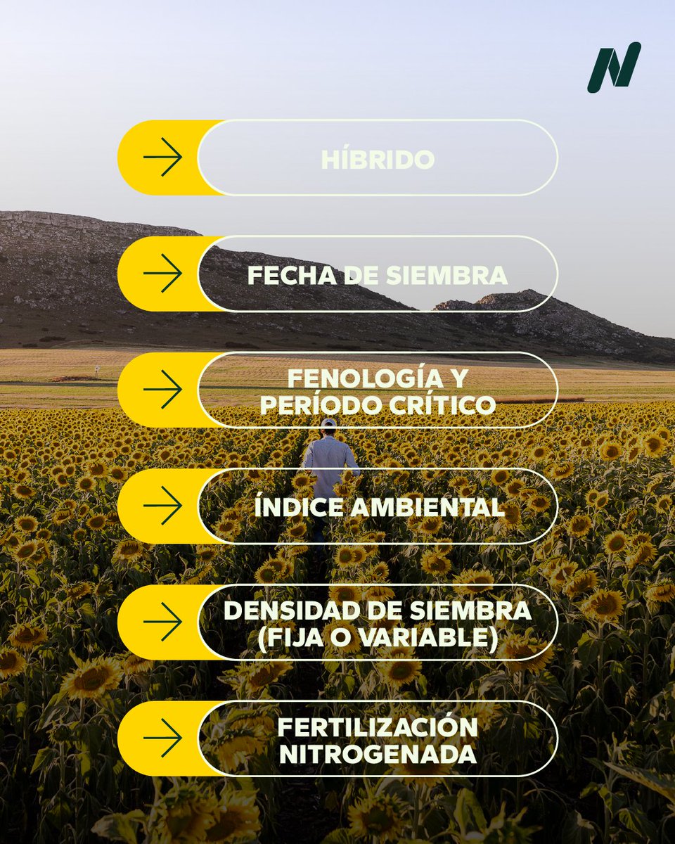 NideraSemillas's tweet photo. ¿Y si pudieras ver lo que tu lote necesita antes de que lo pida?​
En Nidera usamos tecnología que transforma tus datos en resultados.​
Tomá decisiones más precisas basadas en información real, desde cualquier lugar.🌾 ​
📲 Conocé más en https://t.co/ZkD9YOgOhT https://t.co/rvUs5yJG8l
