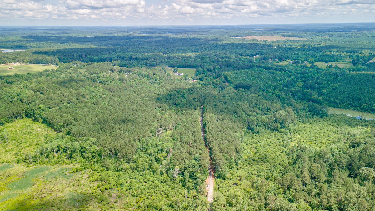 Land For Sale!
Big land, big potential in West Monroe!

📍 Lovelady Rd, West Monroe, LA
🌳 39 acres (approx. 7 acres on one side of the road, 33 on the other)
💰 165,000
📞 Call/Text 318-381-2077 to walk the property or learn more! <a href="/JohnReaRealty/">John Rea Realty</a>
