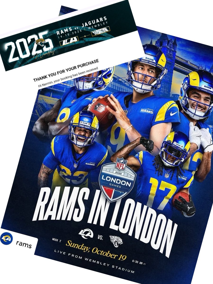 Nermin Daul tweet media