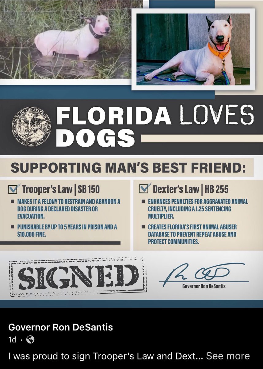 Shewritesrekles's tweet photo. Calling on the @Canada govt, the @CanadianPM and all Provincial Leaders to enact laws EXACTLY like the Florida state law protecting animals.
@ABDanielleSmith @BobRae48 @WabKinew @fordnation @Dave_Eby @francoislegault @RobLantz @TimHoustonNS @RJSimpson_NWT @RanjPillai1 @scottmoe https://t.co/lVzTmuZPUt