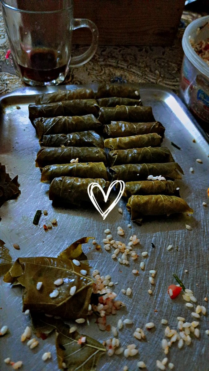 سايبه البكتريا وبعمل ورق عنب عادي جدا 💆