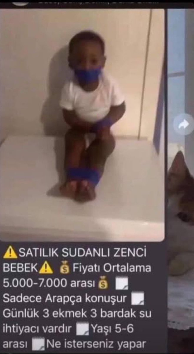 TWolvesTR's tweet image. batı finali oynamış randle takasa tekliflerini bekliyoruz