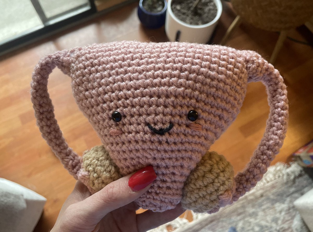 One of my coworkers gifted me a crocheted cuterus!