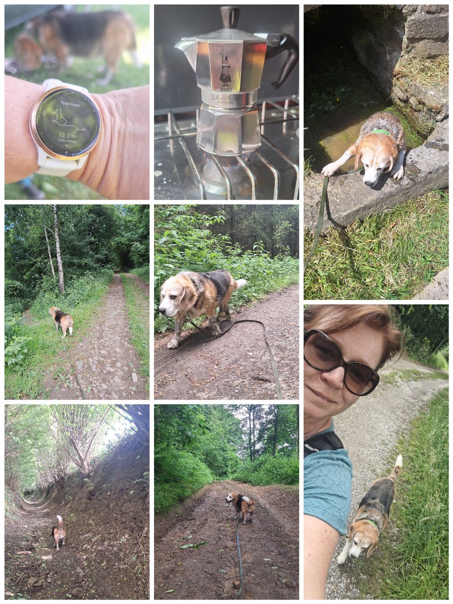 Heerlijk gewandeld met trouwe vriend Tommy 🐶