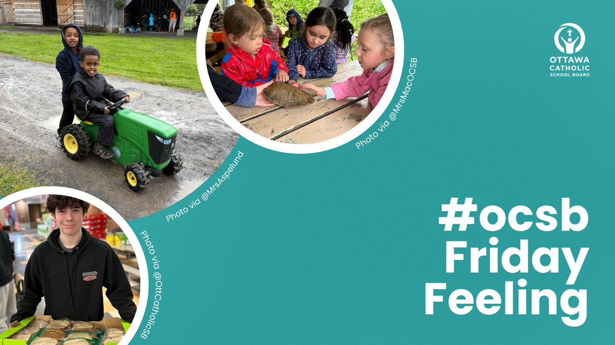 ✨For this week's #ocsbFridayFeeling, students set off on field trips—exploring farms, libraries, and outdoor scavenger hunts. A magical butterfly release🦋and a beautiful Grad Mass made for a week of growth, gratitude, and new beginnings.#ocsbBeCommunity🔗ocsb.ca/2025/05/30/ffm…
