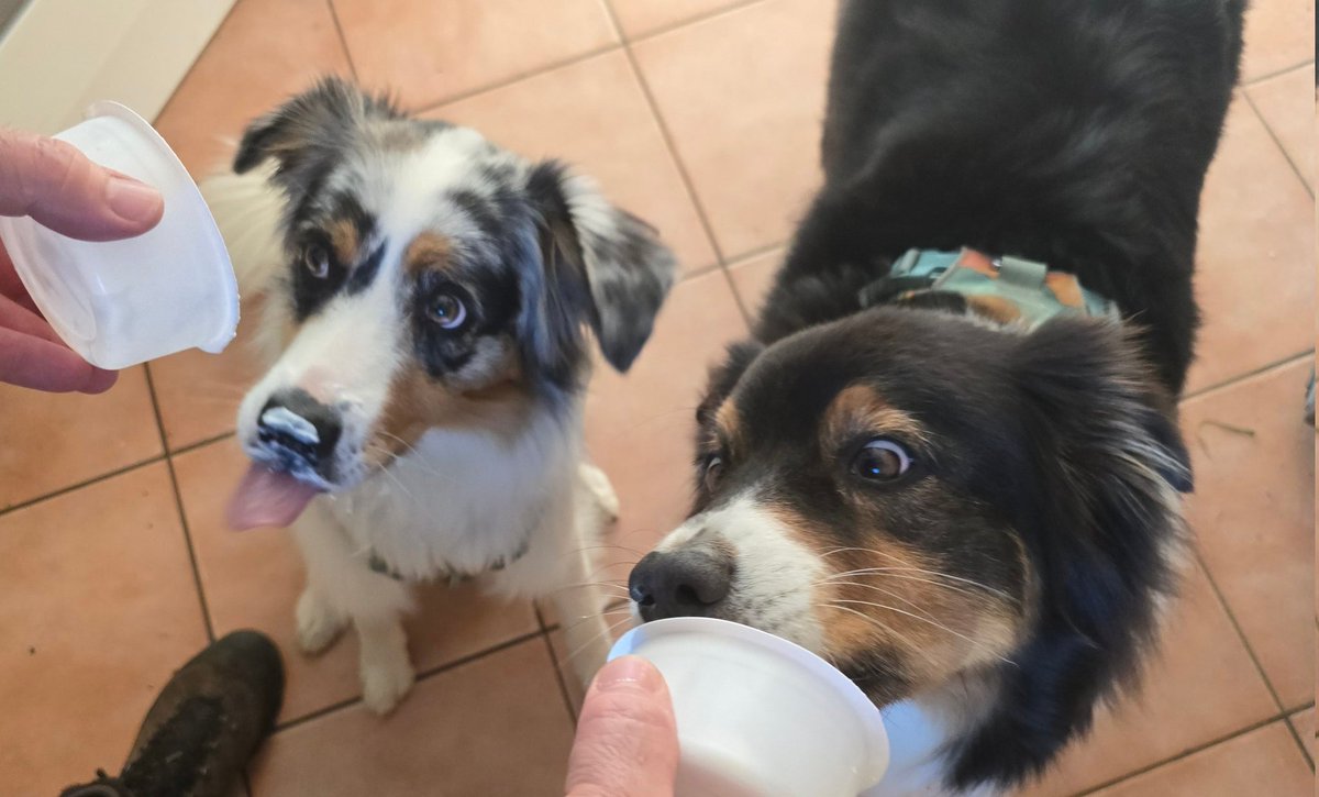 Schönes gegen Doofes: die Joghurt-Edition^^