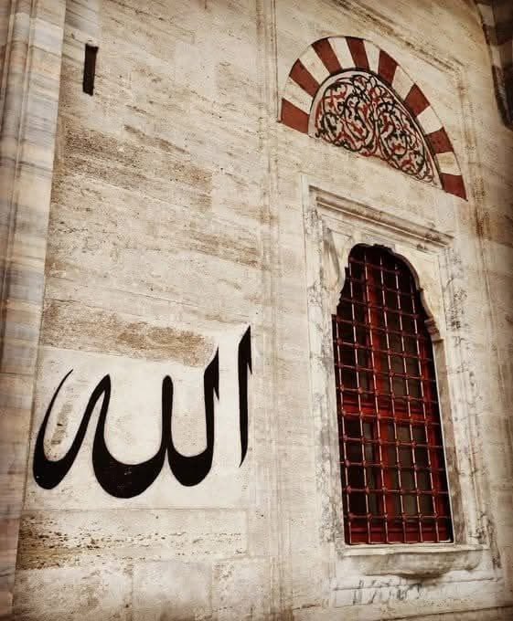 Allah’tan geldik,
Allah için yaşıyoruz,
Allah’a döneceğiz..