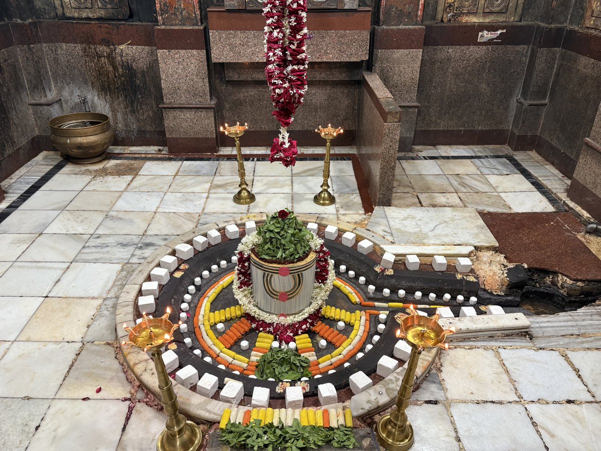 श्री परली बैद्यनाथ ज्योतिर्लिंग जी के आज के संध्या/शयन आरती दिव्य व अदभुत श्रृंगार दर्शन 30.05.2025