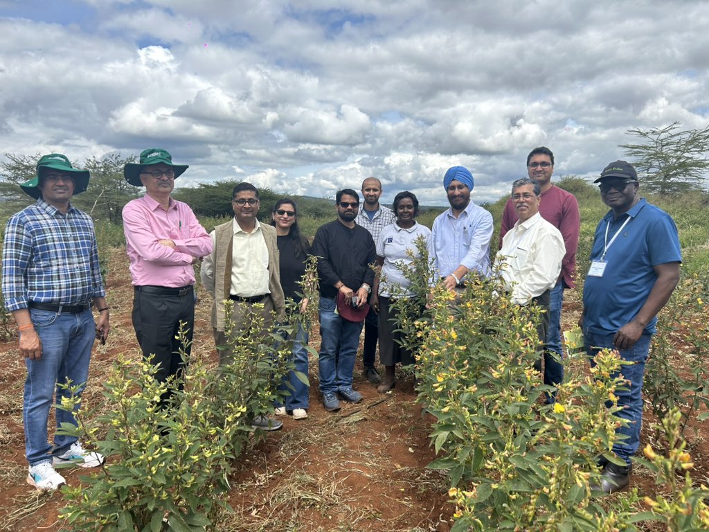 🌱 Pigeonpea Field Day in Kenya 🇰🇪
collaboration with NARS; strengthening Fusarium wilt-sick plot
Exciting variability observed in pigeonpea germplasm! 🌾🔬
#Pigeonpea #LegumesAfrica #drylands #CropImprovement #NARS #AgResearch #FoodSecurity