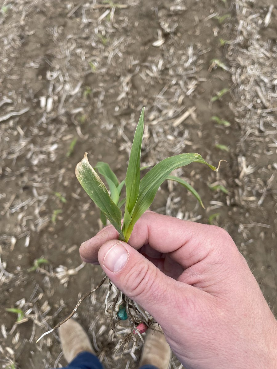 Channel Nebraska tweet media