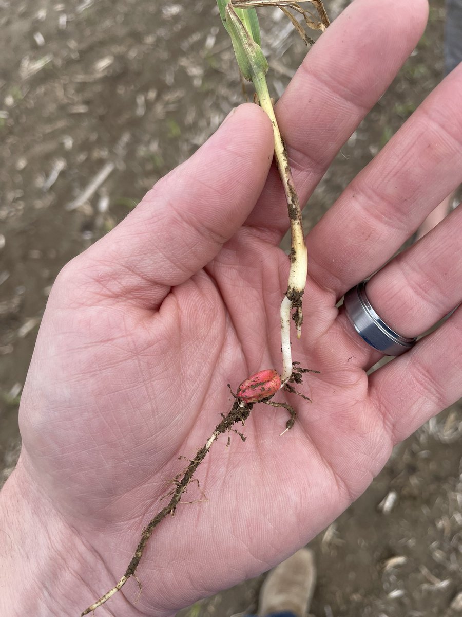 Channel Nebraska tweet media