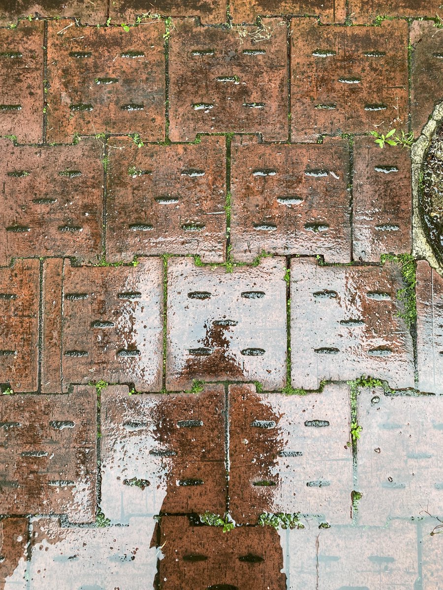 gajumaru3's tweet photo. 梅雨来たり虚無の顔にや祈りけり
#kigo #haiku #micropoetry
#虚無の人 #nullperson https://t.co/nr6G3Ol7lz