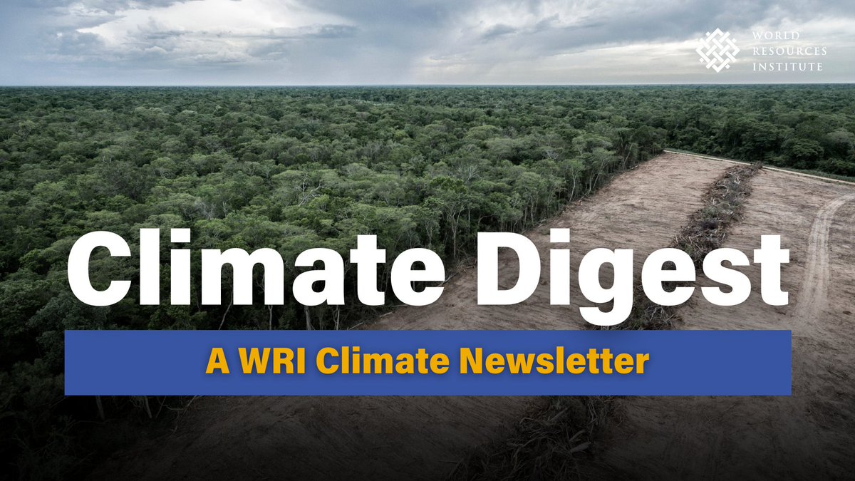 WRIClimate's tweet image. 🚨 Record tropical forest loss from fires in 2024
🌍 UN climate chief urges stronger #NDCs
🗳️ 89% of people want bold government action on climate

Read these stories and more in @WRIClimate’s latest #ClimateDigest 👉 bit.ly/4mW8w1V