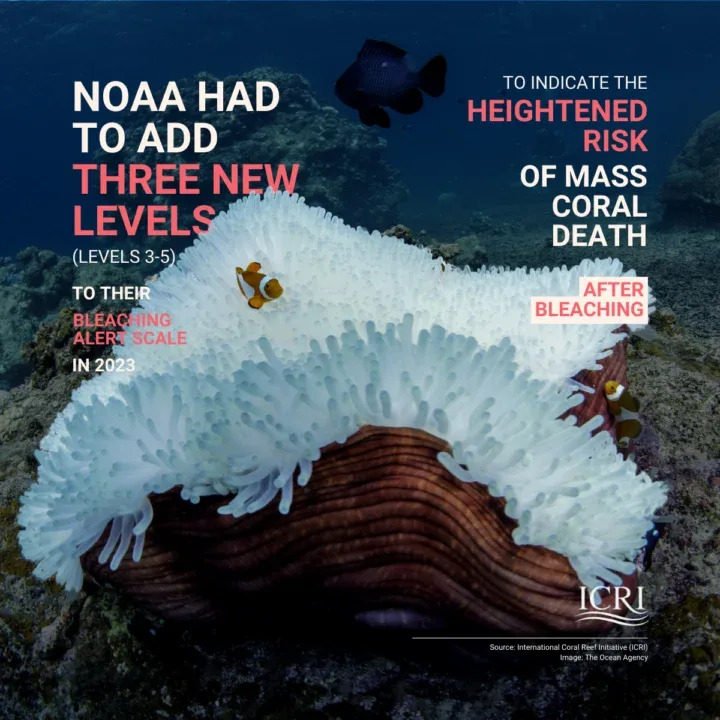 NOAA Coral Program (@noaacoral) on Twitter photo The ongoing fourth global coral bleaching event is considered the most intense event on record. Consequently, <a href="/CoralReefWatch/">Coral Reef Watch</a> added 3 new levels to their Bleaching Alert Scale to indicate elevated risk of mass coral mortality. Learn more:
icriforum.org/4gbe-2025/ <a href="/ICRI_Coral_Reef/">ICRI Secretariat</a> The ongoing fourth global coral bleaching event is considered the most intense event on record. Consequently, <a href="/CoralReefWatch/">Coral Reef Watch</a> added 3 new levels to their Bleaching Alert Scale to indicate elevated risk of mass coral mortality. Learn more:
icriforum.org/4gbe-2025/ <a href="/ICRI_Coral_Reef/">ICRI Secretariat</a>