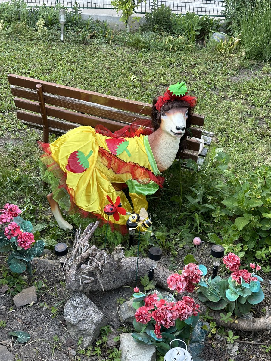 #sousedovicsrna oslavila čarodějnice, dala si rande pod třešní a dnes vstoupila do jahodové sezóny 😃