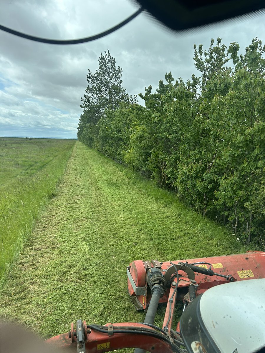 Track tidied up yesterday to make it safer for driving down and not going off the bank