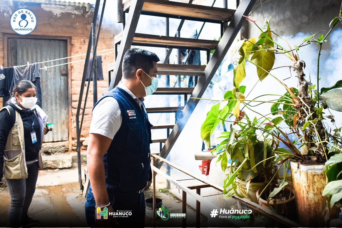 HuanucoRed's tweet photo. #HazleElPareAlDengue
📷📷𝐈𝐍𝐓𝐄𝐑𝐕𝐈𝐄𝐍𝐄𝐍 𝐀𝐍𝐓𝐄 𝐈𝐍𝐂𝐑𝐄𝐌𝐄𝐍𝐓𝐎 𝐃𝐄 𝐂𝐀𝐒𝐎𝐒 𝐃𝐄 𝐃𝐄𝐍𝐆𝐔𝐄 𝐄𝐍 𝐀𝐌𝐀𝐑𝐈𝐋𝐈𝐒.📷📷
En lo que va del año se han reportado 31 casos de dengue positivo en la provincia de Huánuco, de los cuales 25 son importados y 6 autóctonos. https://t.co/x8hvcOYnK7