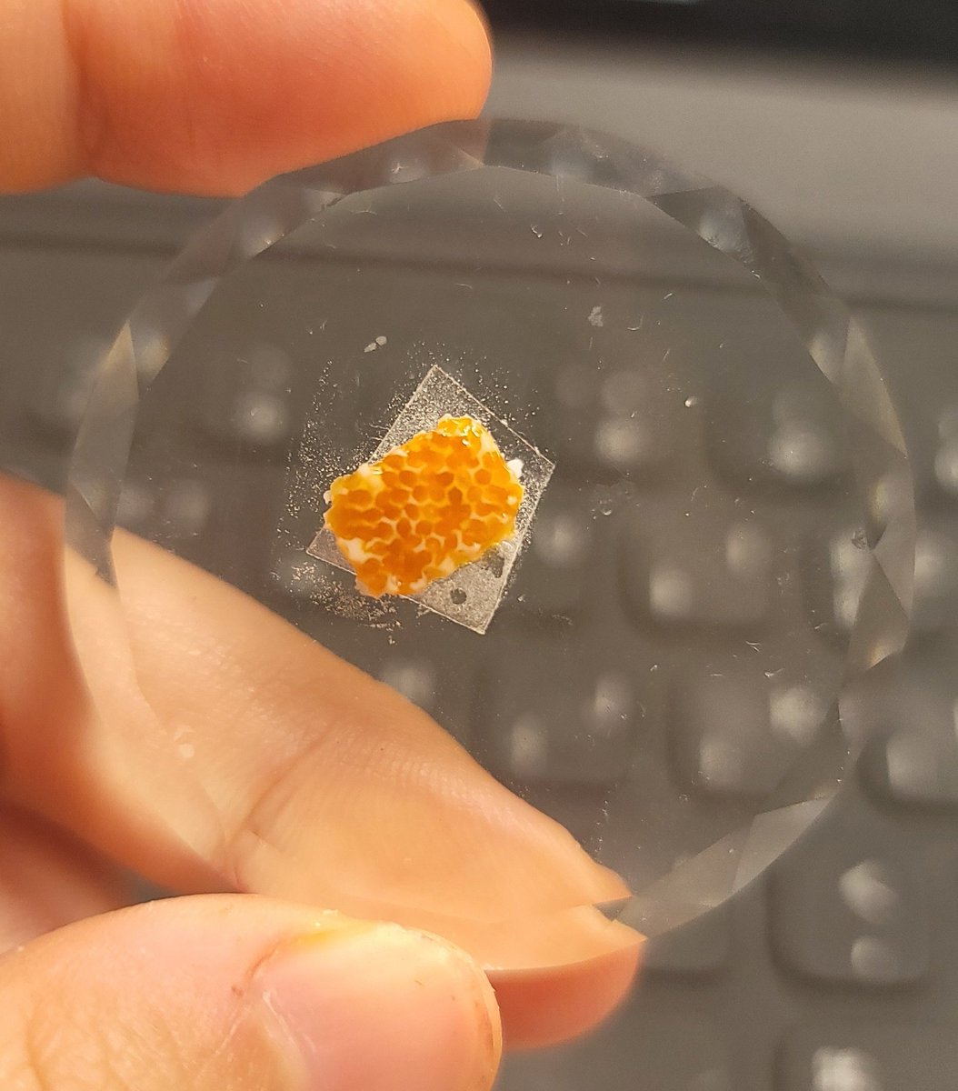 여기 오기까지 한달이 걸리다니...
이쪽 아이스크림도 들고 갈 수 있을지도요...!!