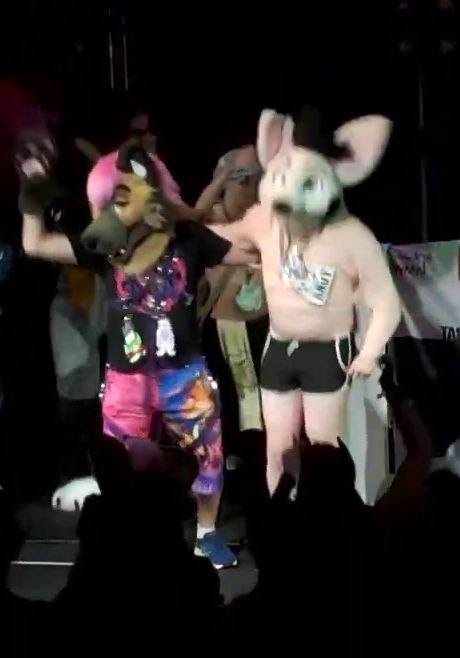 Andy! (@thatdudeandrewe) on Twitter photo Idc its a repost happy #FursuitFriday starring <a href="/yeenexpress/">Jax Hyena / Glacier Husky 🔜 AC</a> at the ANE <a href="/NONSTOPPUP/">BIG DOG ENERGY 🌹⛓️🌈</a> set Idc its a repost happy #FursuitFriday starring <a href="/yeenexpress/">Jax Hyena / Glacier Husky 🔜 AC</a> at the ANE <a href="/NONSTOPPUP/">BIG DOG ENERGY 🌹⛓️🌈</a> set