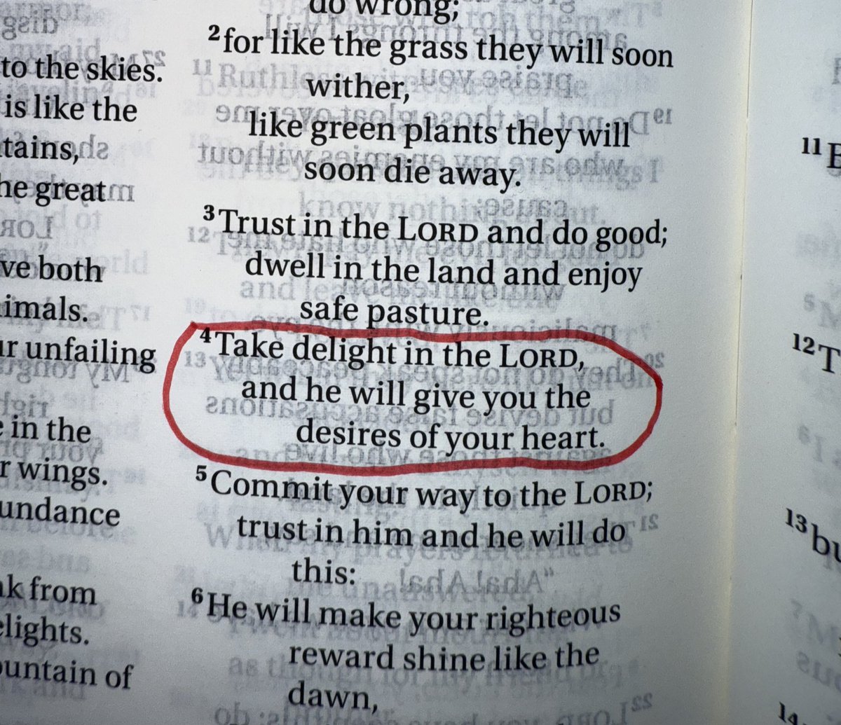 Psalm 37:4